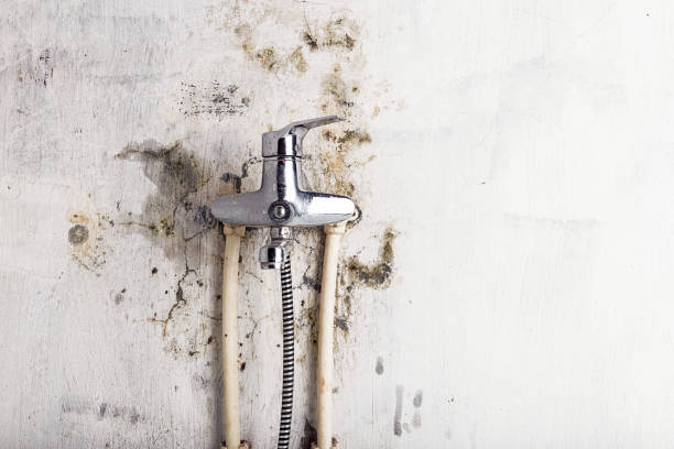 Best Residential Mold Remediation in South Hooksett, NH